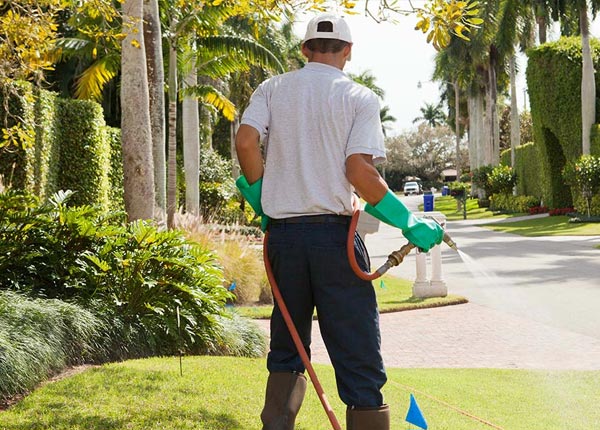 About Peebles OH Pest Control